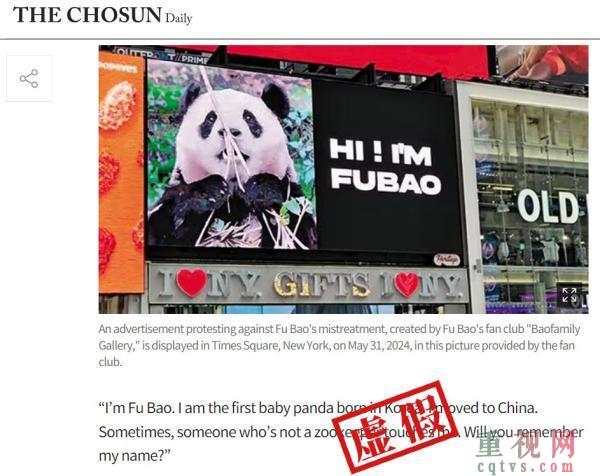 韩媒称福宝和在韩国没太大区别 大熊猫福宝待遇遭误解澄清-第2张-国内资讯-重视网