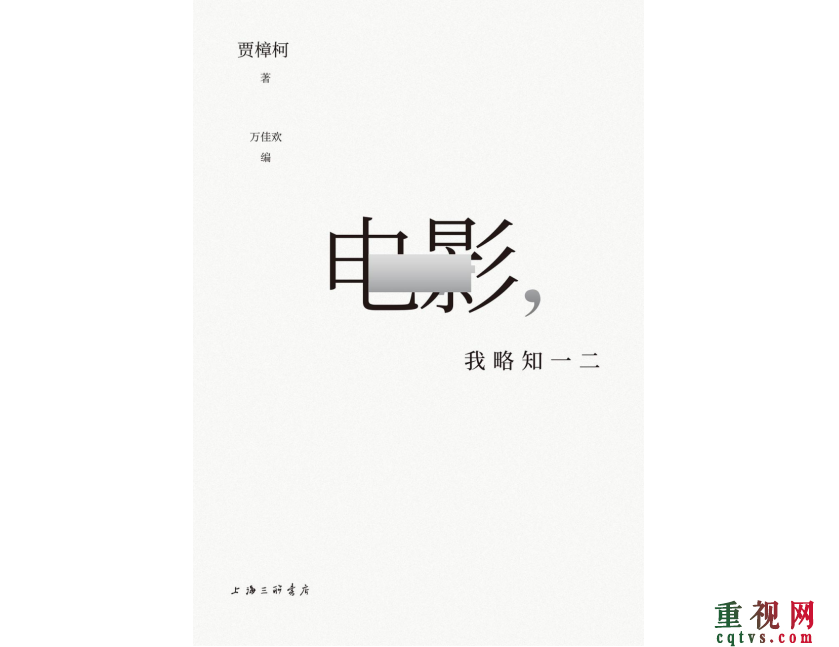 贾樟柯：排斥电影工业的一切，并不代表你很独立-第2张-滚动新闻-重视网